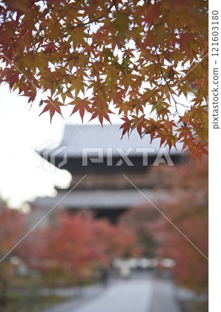 Nanzenji Temple: The grounds and temple gate dyed in autumn colors 4 Nanzenji Temple: The grounds and temple gate dyed in autumn colors 4 121603180