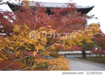 Nanzenji Temple: The grounds and temple gate dyed in autumn colors 3 Nanzenji Temple: The grounds and temple gate dyed in autumn colors 3 121603181
