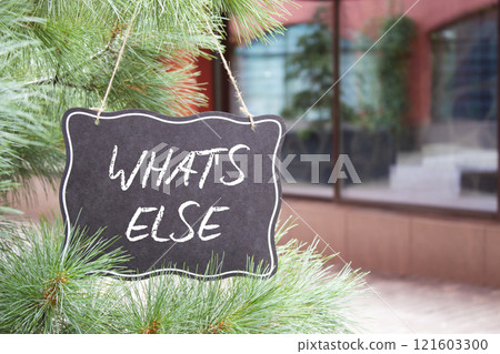 What else symbol. Concept words What else on black chalk blackboard. Beautiful background with shop and tree. Business and What else concept. Copy space 121603300