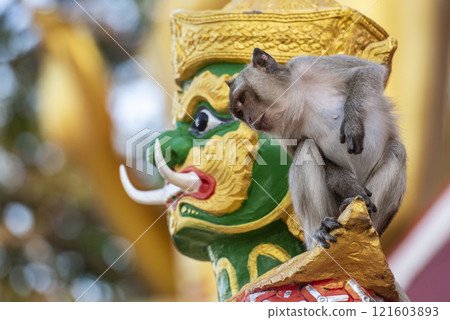 THAILAND PRACHUAP HUA HIN WAT KHAO TAKIAB 121603893