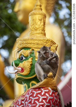 THAILAND PRACHUAP HUA HIN WAT KHAO TAKIAB 121603896
