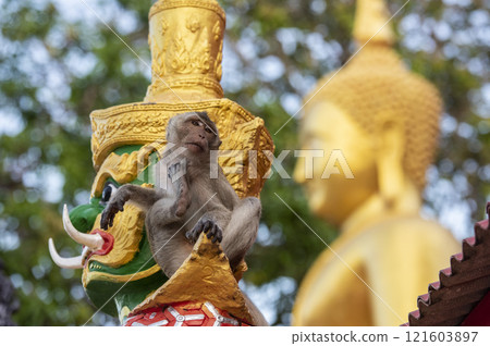 THAILAND PRACHUAP HUA HIN WAT KHAO TAKIAB 121603897