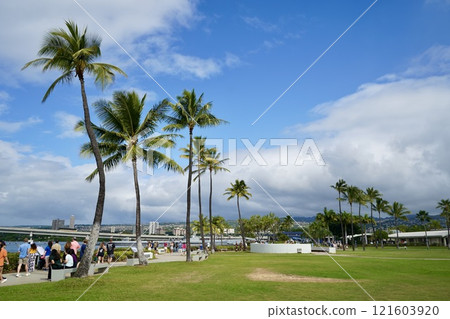 Scenery with palm trees Scenery with palm trees 121603920