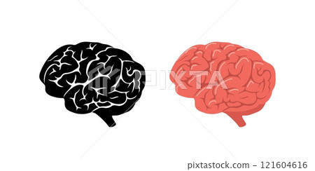 Brain icon set. Human internal organ solid and colored. Side view. Vector illustration in flat cartoon style 121604616