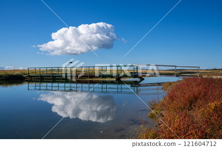 Borkum, East Frisia, North Sea in Lower Saxony, Germany 121604712