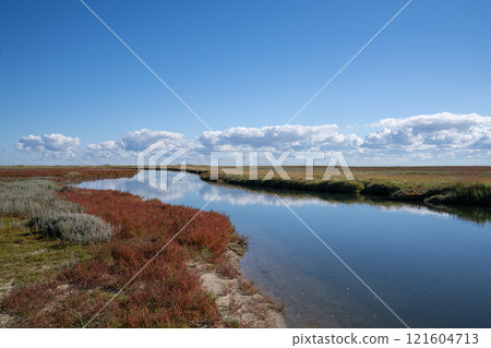 Borkum, East Frisia, North Sea in Lower Saxony, Germany 121604713