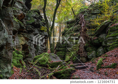 Landscape close to Treves, Eifel, Germany Landscape close to Treves, Eifel, Germany 121604731
