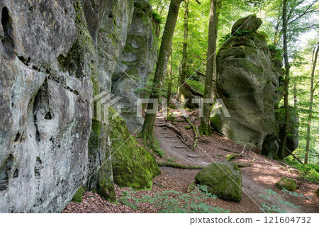 Mullerthal during autumn season, Luxembourg Mullerthal during autumn season, Luxembourg 121604732