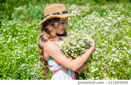 Countryside idyll. Little child pick flowers on chamomile field. Floral shop. Holiday celebration. Summer vacation. Spa and beauty. Summer skincare and haircare. Natural herbal treatment 121605049