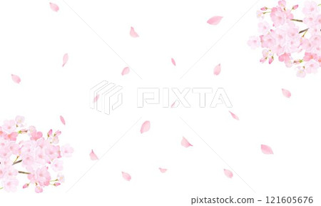 Cherry blossom tree - beautiful light pink cherry blossom flowers and petals spring watercolor white back frame background material illustration 121605676