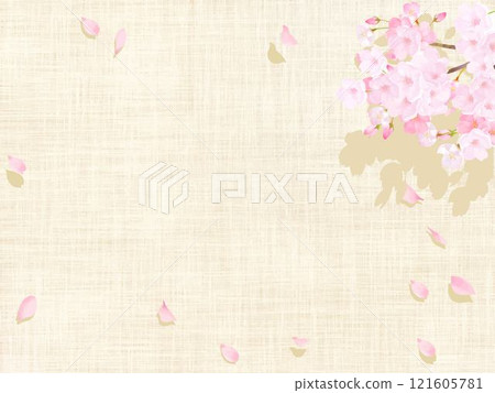米色棉麻桌布上搖曳的櫻花樹和飄落的櫻花花瓣的日式框架壁紙背景素材 121605781