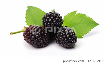Black raspberries on light white background close up. Neural network ai generated 121605949