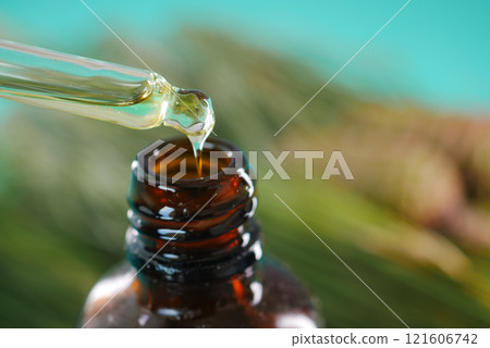 Bottle of pine essential oil and tree branch on white background 121606742