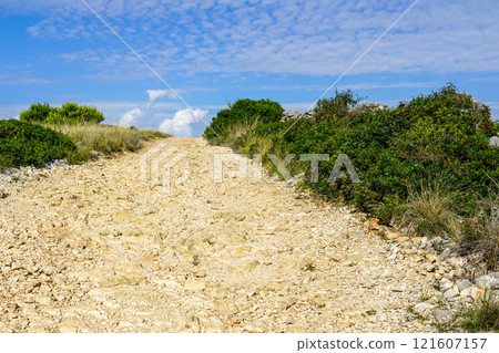 Coarse rocky gravel road in rural area, perspective view, blue sky over horizon 121607157