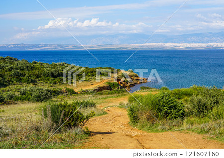 Crvenka beach, Vir, Croatia, the sand of the beach is painted with the intense red color 121607160