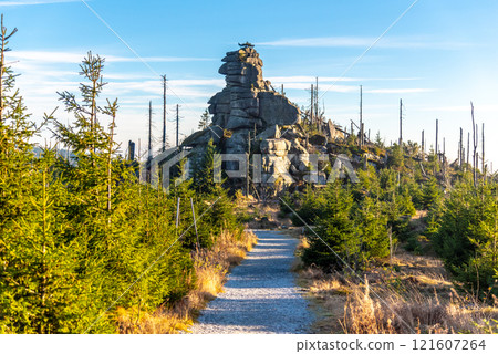 Eroded granite rock formation on the top of Tristolicnik, Dreisesselberg. Sumava National Park and Bavarian Forest, Czech republic and Germany. 121607264
