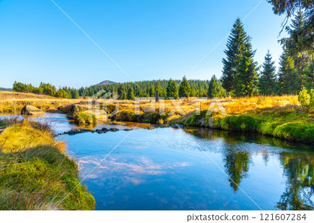 Small mountain creek meandering in the middle of meadows and forest. Sunny day with blue sky and white clouds in Jizera Mountains, Northern Bohemia, Czech Republic 121607284