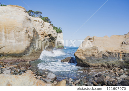 茨木孝人小歐巴馬（高萩市） 121607970