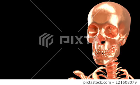 The Copper skeleton on black background for education or sci concept 3d rendering. The Copper skeleton on black background for education or sci concept 3d rendering. 121608079