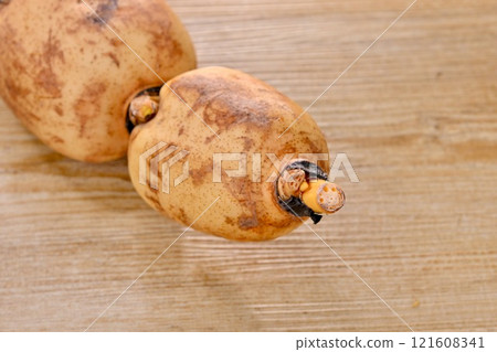 配料,蓮藕,蓮藕,根莖,蓮藕。 配料,蓮藕,蓮藕,根莖,蓮藕。 121608341