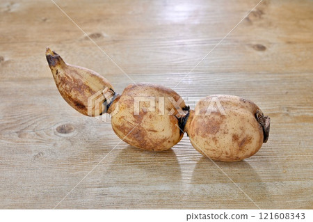 配料，蓮藕，蓮藕，根莖，蓮藕。 121608343