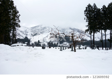 A walk in the countryside in winter: snow fields and persimmon trees, Uonuma City, Niigata Prefecture 121609392