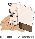 Angry Cat Hiding Beside the Wall 121609645