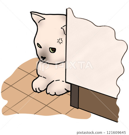 Angry Cat Hiding Beside the Wall Angry Cat Hiding Beside the Wall 121609645