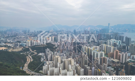 Urban Cityscape with Skyscrapers under a Cloudy Sky Dec 24 2024 121609802