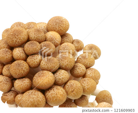 Japanese food golden needle mushroom vegetable on transparent 121609903