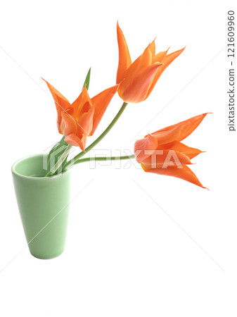 Three orange flowers in green vase on transparent background Three orange flowers in green vase on transparent background 121609960