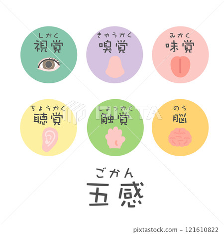五種感官大腦插圖圖示視覺、嗅覺、味覺、聽覺、觸覺 121610822