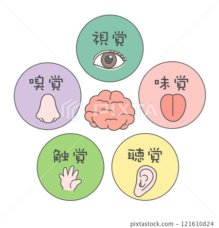 Five senses brain illustration icon sight smell taste hearing touch Five senses brain illustration icon sight smell taste hearing touch 121610824