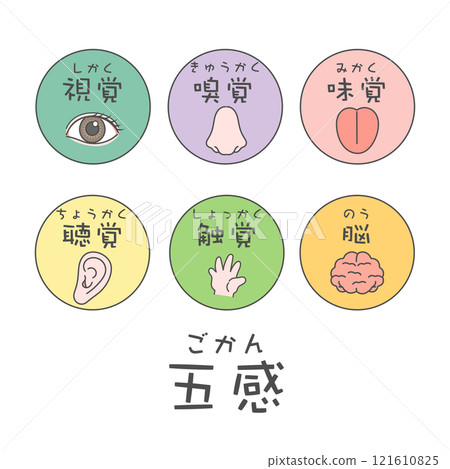五種感官大腦插圖圖示視覺、嗅覺、味覺、聽覺、觸覺 121610825