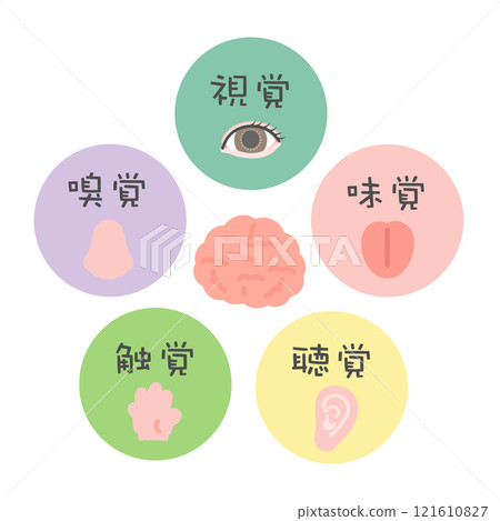 Five senses brain illustration icon sight smell taste hearing touch 121610827