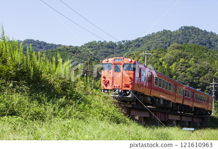 夏天基哈 121610963