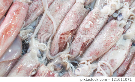 A Detailed Close-Up of Raw Squid, Perfect for Cooking Inspiration, Food Blogs, or Market Advertisements 121611071