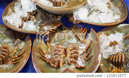 Horseshoe Crabs on Ice - Showcasing Fresh Catch for Seafood Enthusiasts Horseshoe Crabs on Ice - Showcasing Fresh Catch for Seafood Enthusiasts 121611077