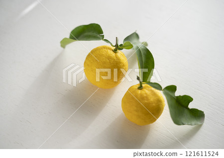 Yuzu with leaf Yuzu with leaf 121611524