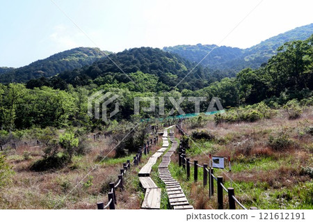 [Aichi Prefecture] Ashimo Marsh ~ Walking the Zadanzan ③_Ashimo Marsh 121612191