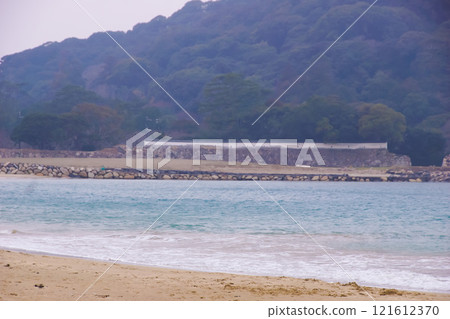 萩市景 菊濱 121612370