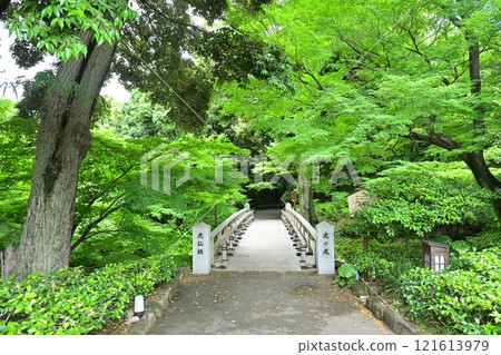 春天的德川園 春天的德川園 121613979