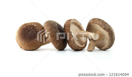 Four Fresh Shiitake Mushrooms Arranged on a Clean White Background Four Fresh Shiitake Mushrooms Arranged on a Clean White Background 121614094