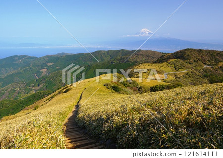 從達摩山登山道眺望，富士山和駿河灣盡收眼底，空中穿越之路Ver.3 121614111