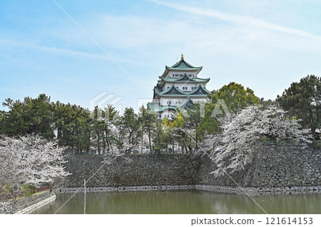 春天名古屋城堡 121614153