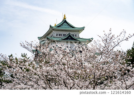 春天名古屋城堡 春天名古屋城堡 121614160