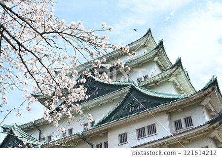 春天名古屋城堡 春天名古屋城堡 121614212