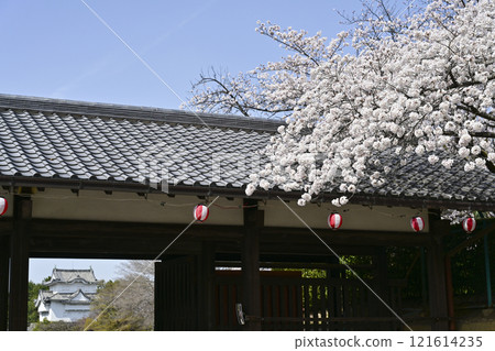 Spring Nagoya Castle 121614235