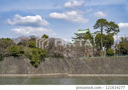 Spring Nagoya Castle 121614277