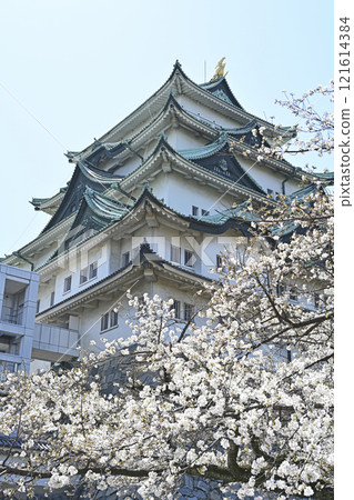 Spring Nagoya Castle 121614384
